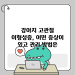 강아지 고관절 이형성증, 어떤 증상이 있고 관리 방법은?
