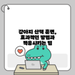 강아지 산책 훈련, 효과적인 방법과 적응시키는 팁