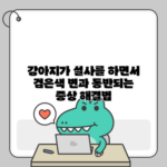 강아지가 설사를 하면서 검은색 변과 동반되는 증상 해결법
