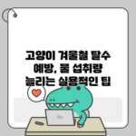 고양이 겨울철 탈수 예방, 물 섭취량 늘리는 실용적인 팁