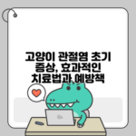 고양이 관절염 초기 증상, 효과적인 치료법과 예방책