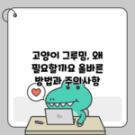 고양이 그루밍, 왜 필요할까요? 올바른 방법과 주의사항