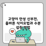 고양이 만성 신부전, 올바른 식이요법과 수분 섭취 방법