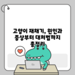 고양이 재채기, 원인과 증상부터 대처법까지 총정리