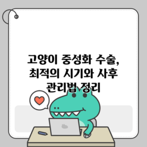 고양이 중성화 수술, 최적의 시기와 사후 관리법 정리