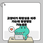 고양이가 화장실을 자주 가는데 방광염일 가능성은?