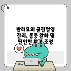 반려묘의 골관절염 관리, 통증 완화 및 편안한 환경 조성