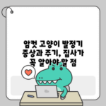 암컷 고양이 발정기 증상과 주기, 집사가 꼭 알아야 할 점