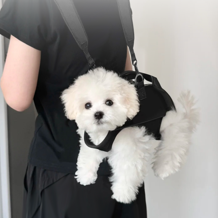 어깨형 이동가방 고양이 추천 10개 지금 인기 필수템