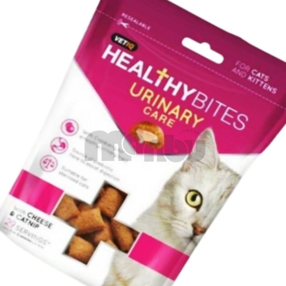 추천 인기 한입 트릿 고양이 10종 필수 구매 가이드