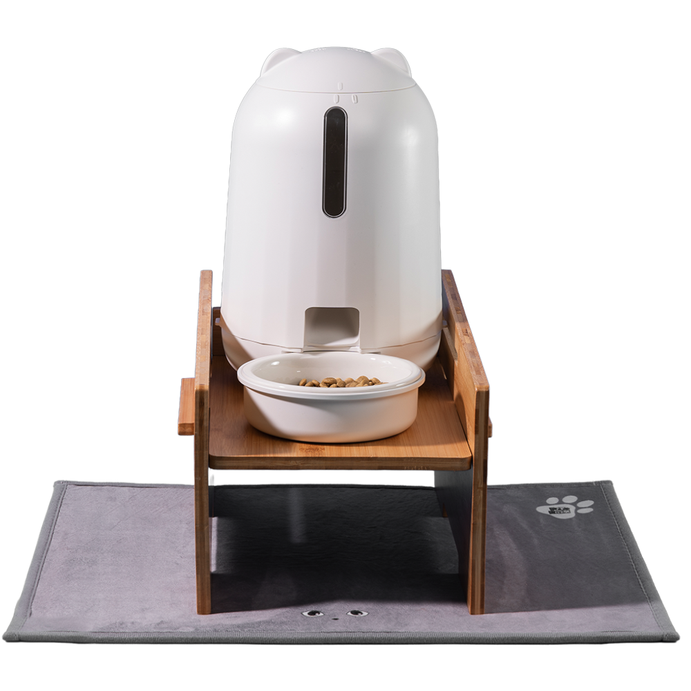 추천 강아지 자동급식기 세트 10종 인기 상품 지금 바로 구매하세요!