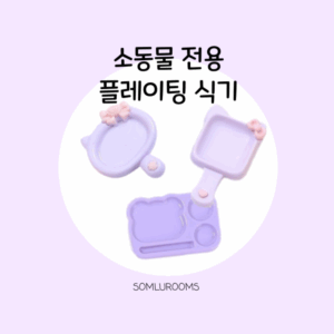 추천 인기 소형 반려동물 식기 10개 지금 바로 확인하세요