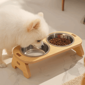 반려묘 식기 추천 10개 인기 우수 상품 지금 바로 확인하세요!