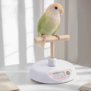 추천 인기 스테인리스 물그릇 고양이 10개 지금 구매하세요!