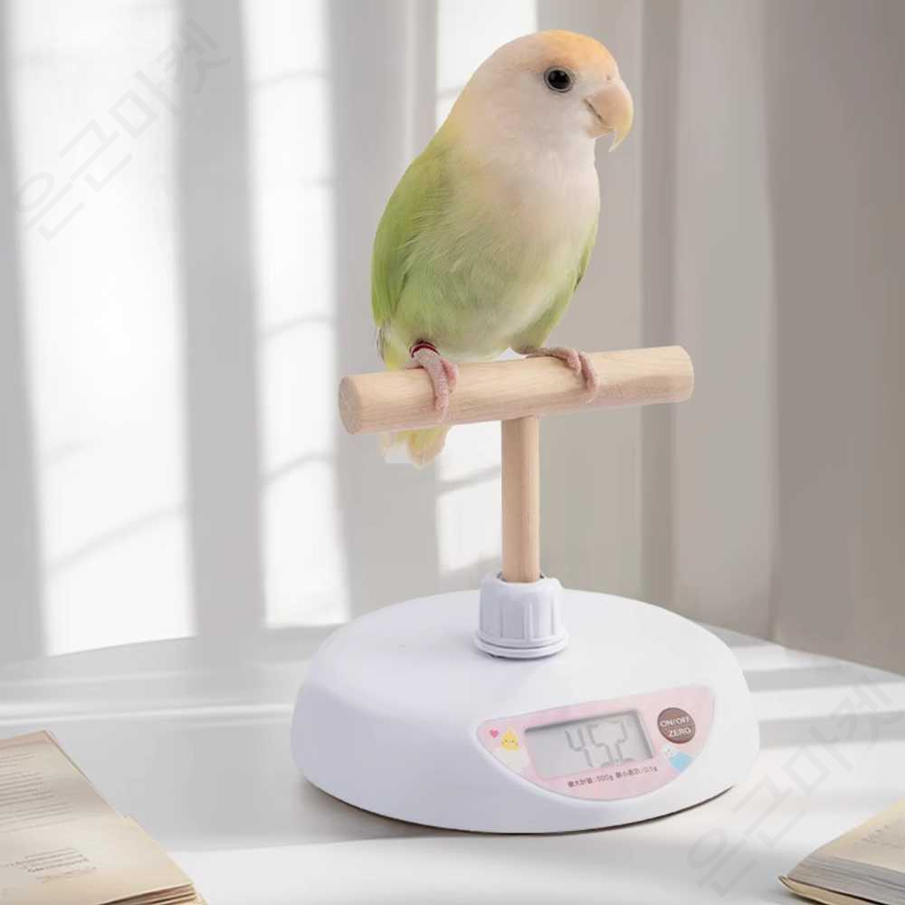 추천 인기 스테인리스 물그릇 고양이 10개 지금 구매하세요!