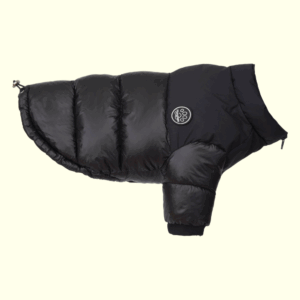 추천 애견 점퍼 10종 지금 바로 구매하세요!