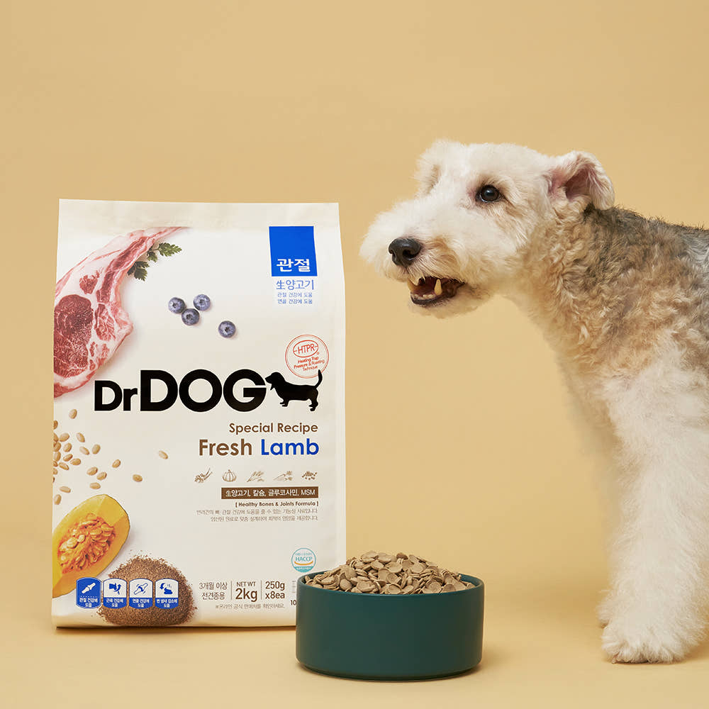 추천 인기 10종 닥터독 사료 지금 바로 선택하세요!