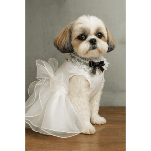 추천 파티복 강아지 5종 필수 아이템 지금 바로 확인!