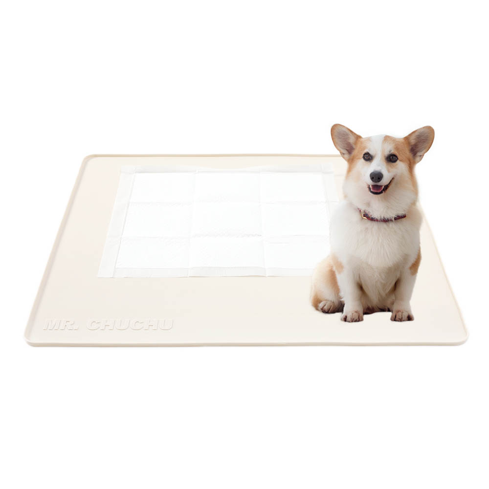 추천 인기 대형 배변판 10종 지금 바로 구매하세요!