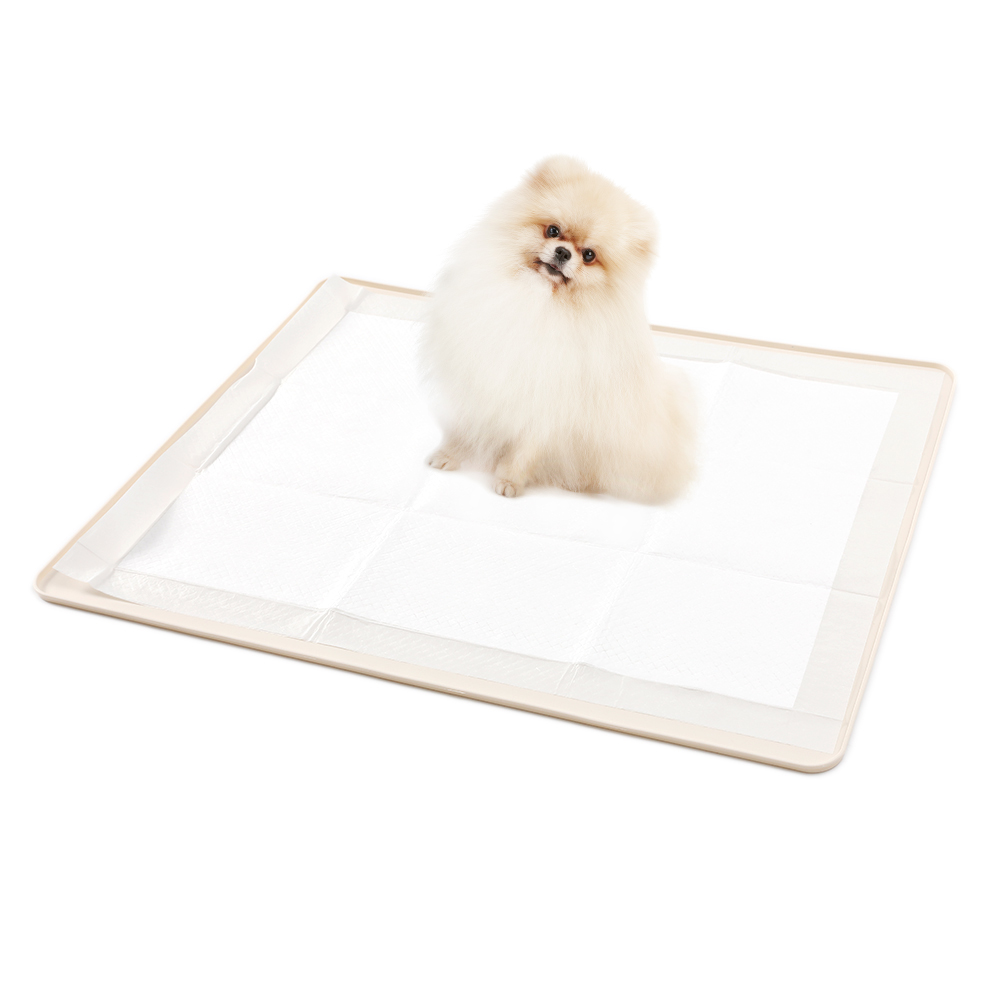 강아지 배변매트 추천 10개 인기 필수품 지금 구매하세요!