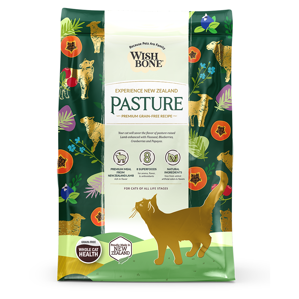 추천 인기 고양이 소고기사료 10종 지금 바로 확인하세요