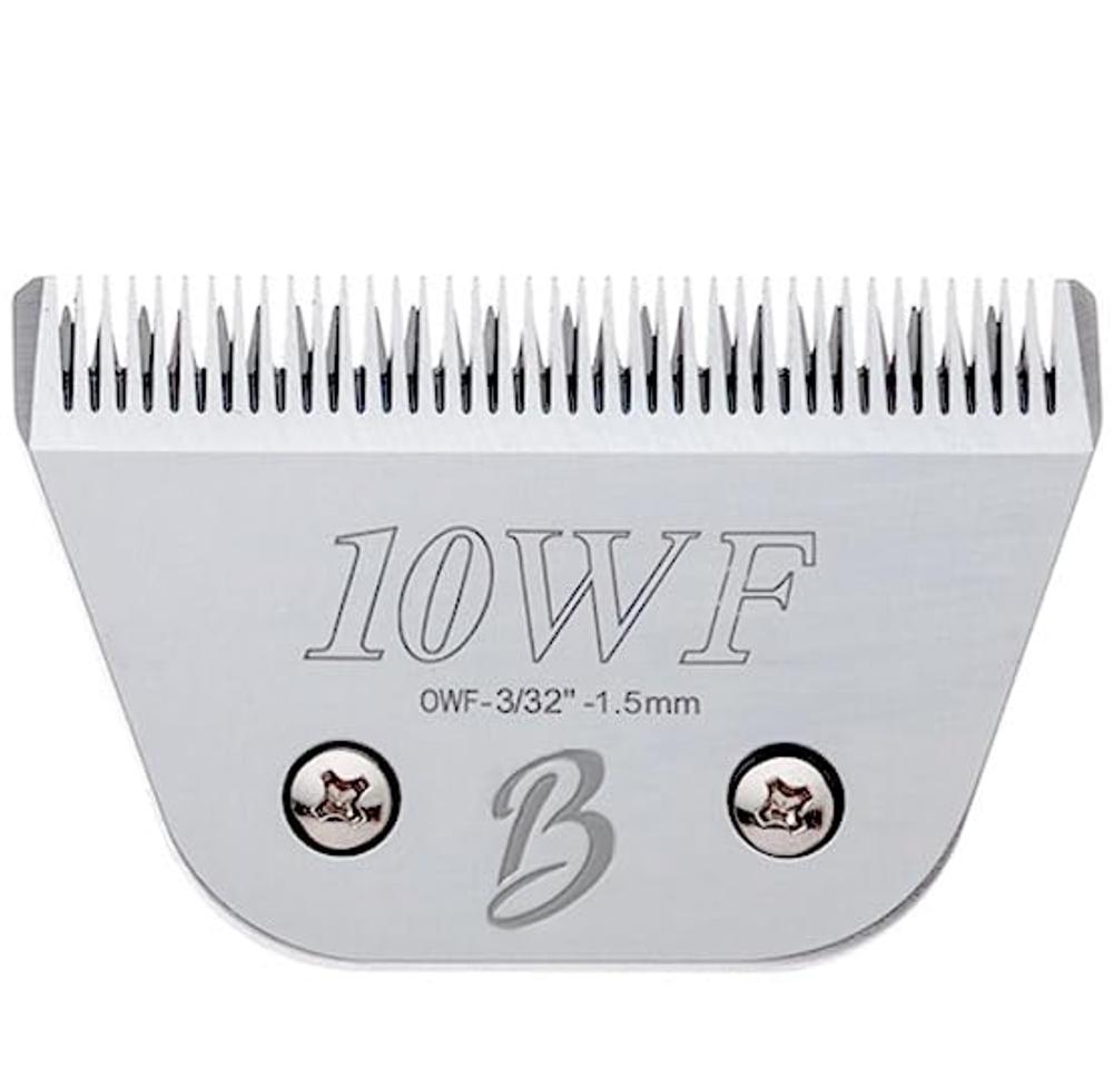 추천 암컷 기저귀 고양이 10종 인기 제품 지금 바로 확인하세요!