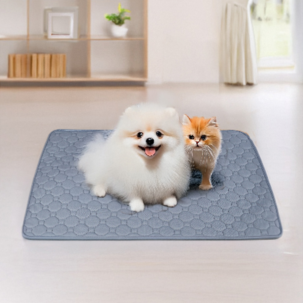 추천 인기 고양이 배변훈련 패드 10종 지금 바로 확인하세요!