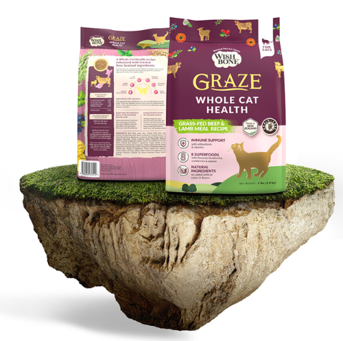 추천 인기 그레인프리 캣푸드 10종 필수 선택!