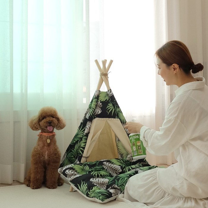 살균세정제 고양이용 추천 10종 지금 바로 확인하세요