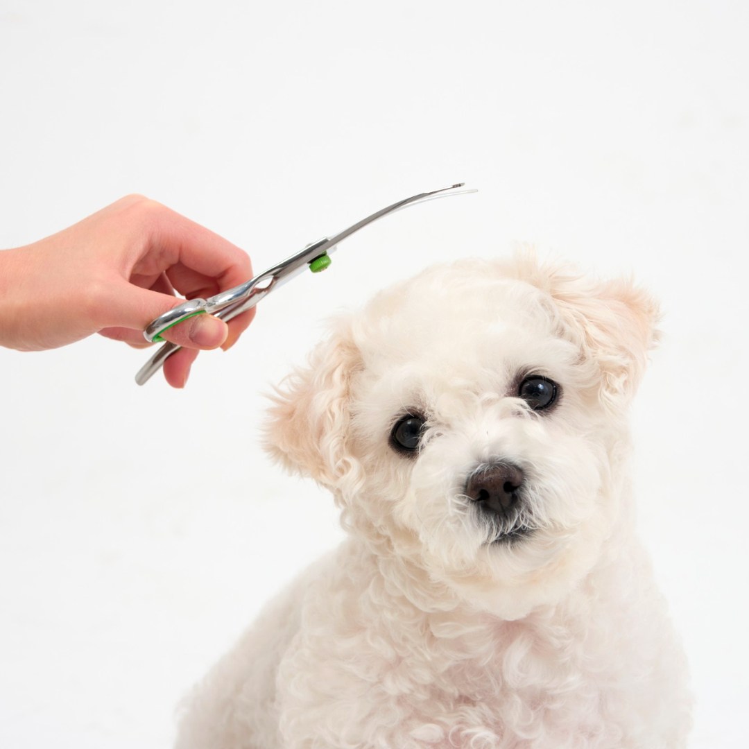 추천 인기 둥근끝 미용가위 10종 지금 바로 구매하세요!