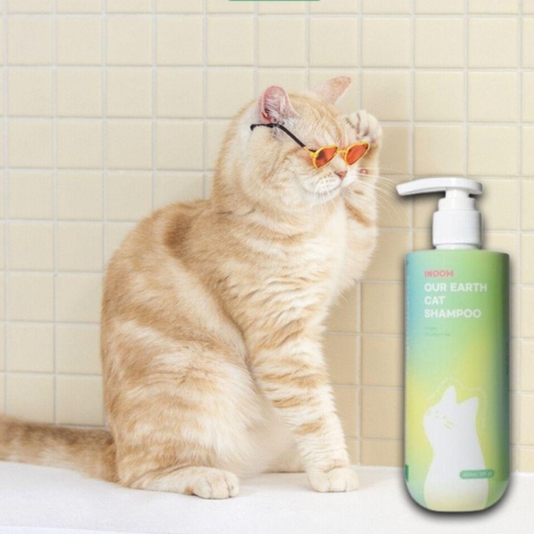 추천 저자극 컨디셔너 강아지 10종 필수 선택!