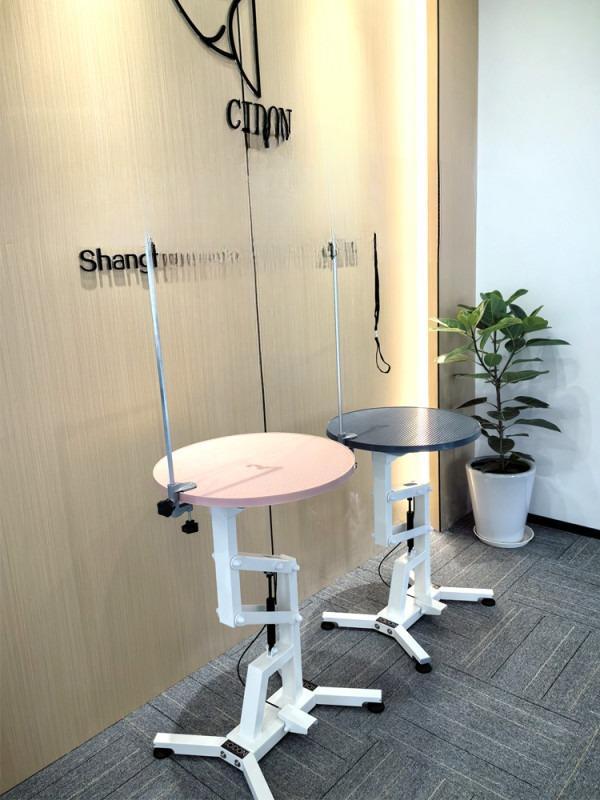 추천 강아지 미용장비 10종 필수 아이템 지금 바로 확인!