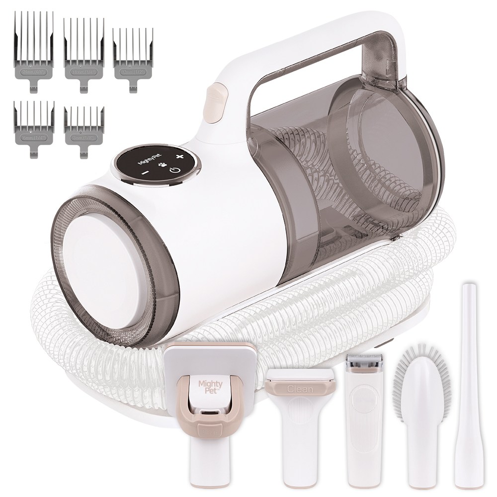 추천! 인기 고양이 미용용품 10종 지금 바로 확인하세요