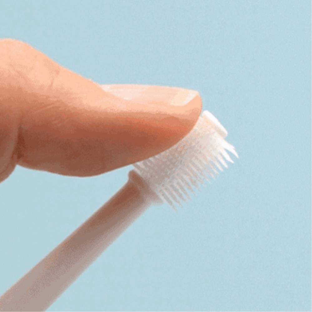 추천 인기 캣 덴탈케어 세트 10종 지금 바로 만나보세요!