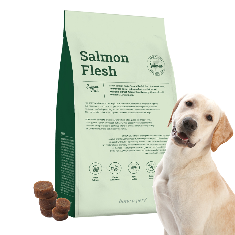 곡물프리 사료 추천 10종 지금 구매 필수! 건강한 선택