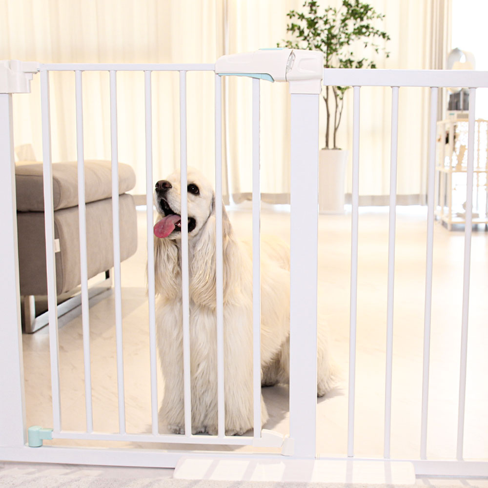 애견 울타리 문형 추천 10개 인기 필수 제품 지금 구매하세요!
