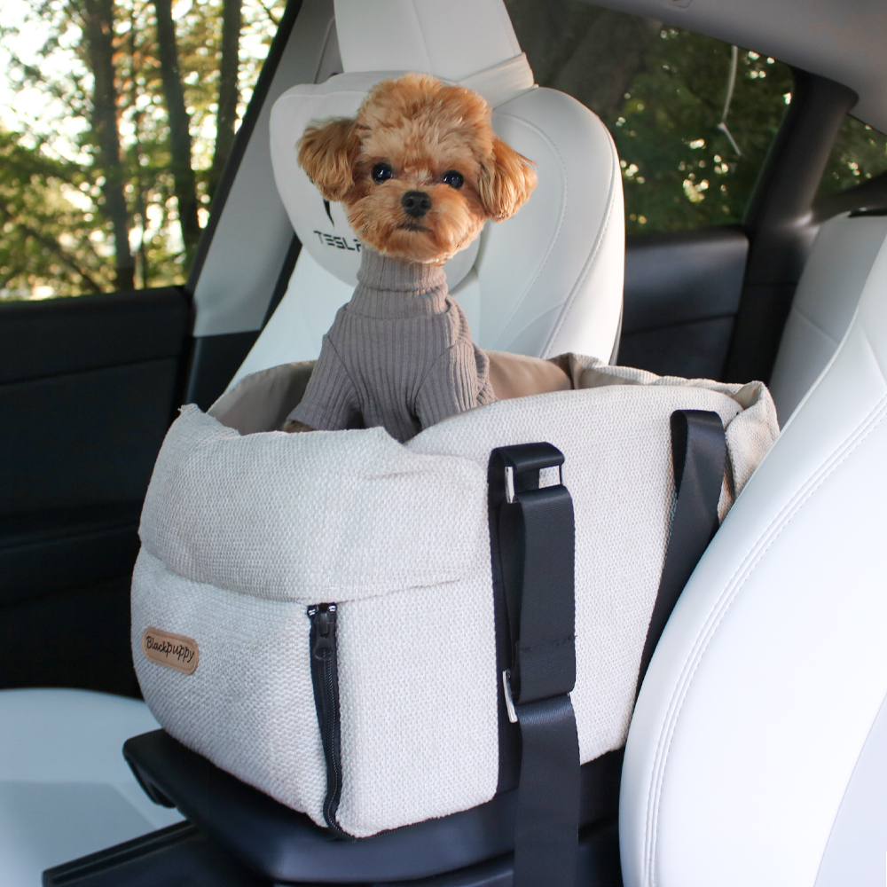 추천하는 소형견 카시트 10개 인기 상품 지금 구매하세요!