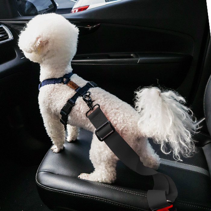 추천! 차량용 안전벨트 강아지 10가지 인기 제품 지금 바로 확인하세요