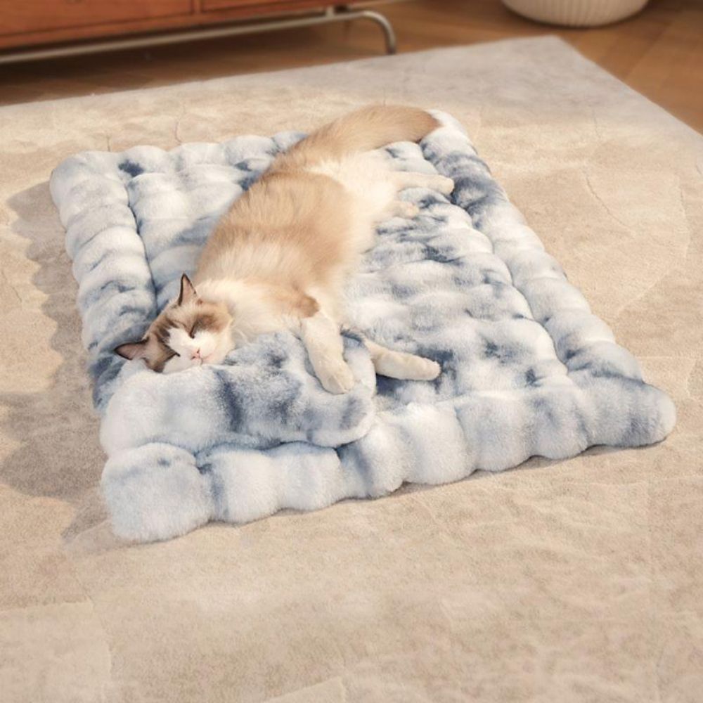 겨울용 매트 강아지 추천 10개 인기 필수 상품 지금 구매하세요!