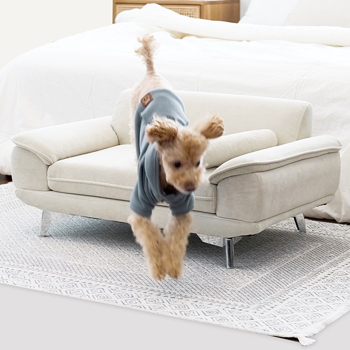 추천 강아지 전용 가구세트 10종 인기 상품 지금구매!