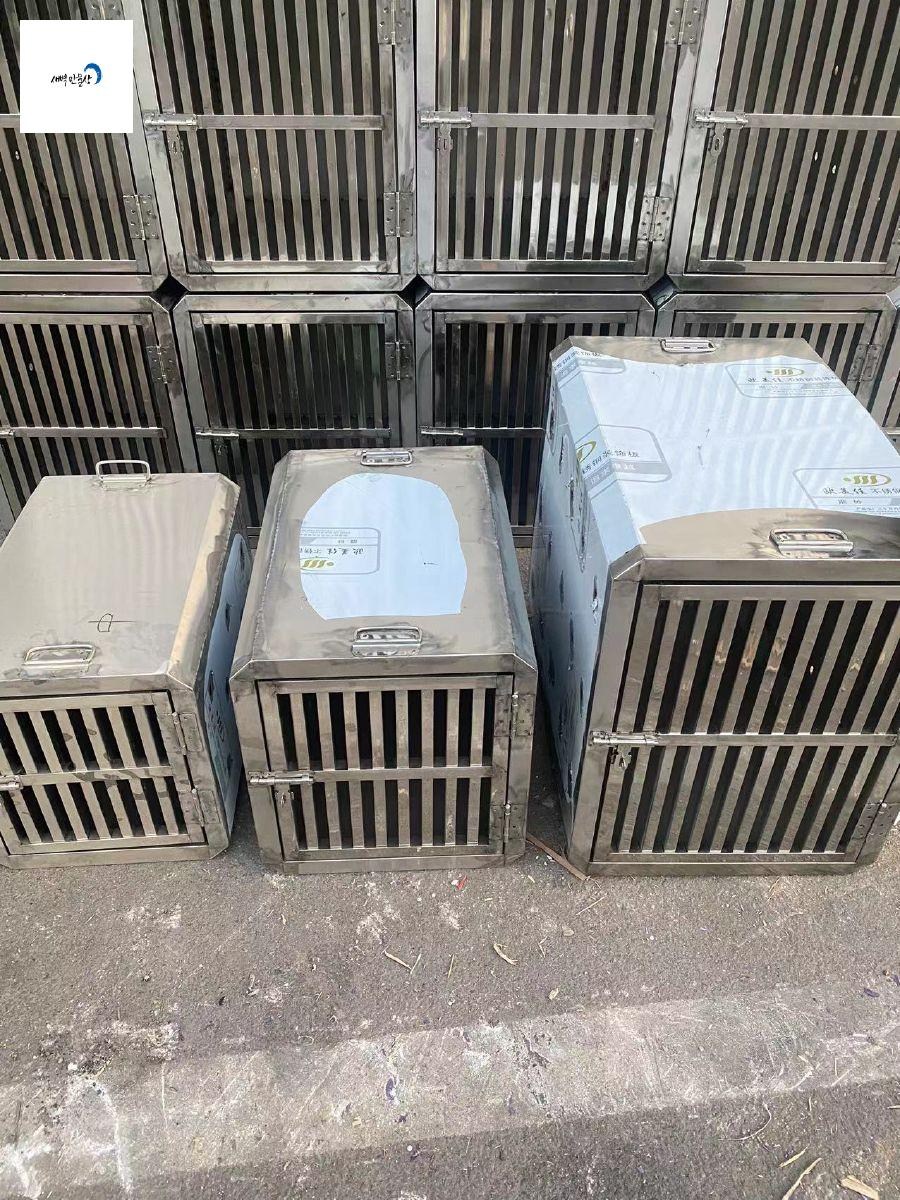 추천하는 여행용 하우스 강아지 10개 인기 제품 지금 바로 확인!