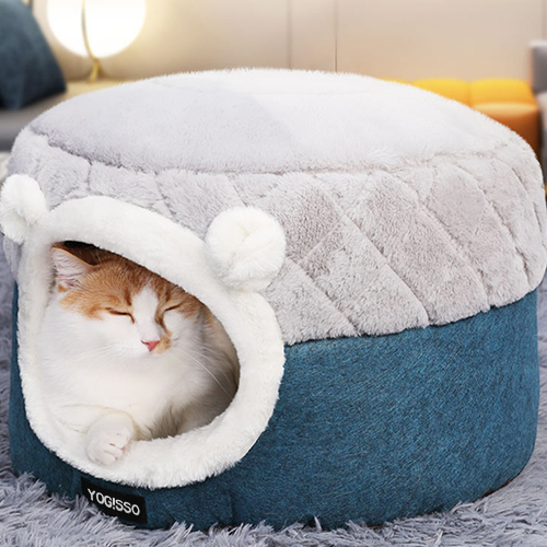 추천 인기 캣하우스 10개 필수 선택!