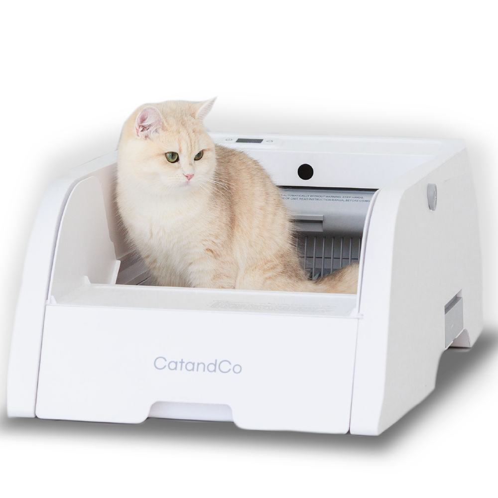 추천 인기 10개 자동배변처리기 필수 구매 가이드