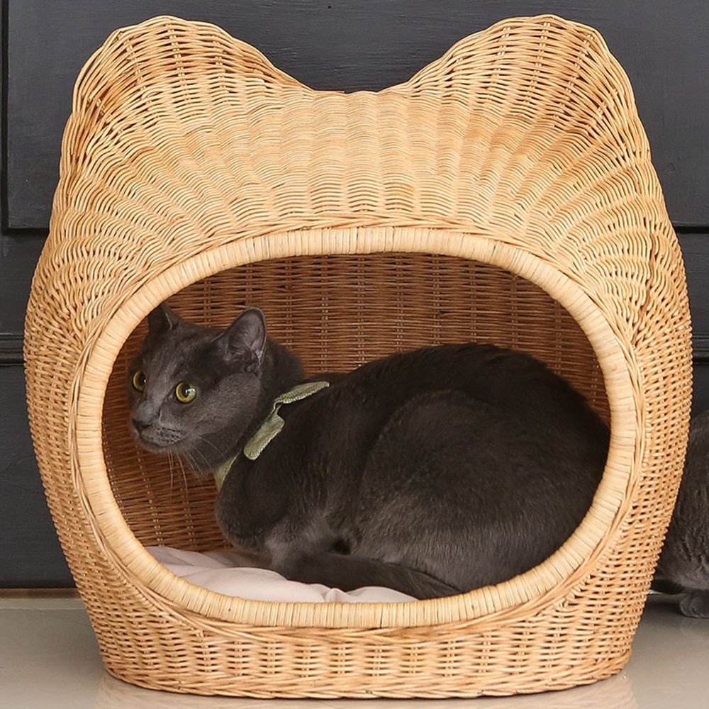 추천 인기 라탄 쿠션 고양이용 10종 지금 바로 구매!