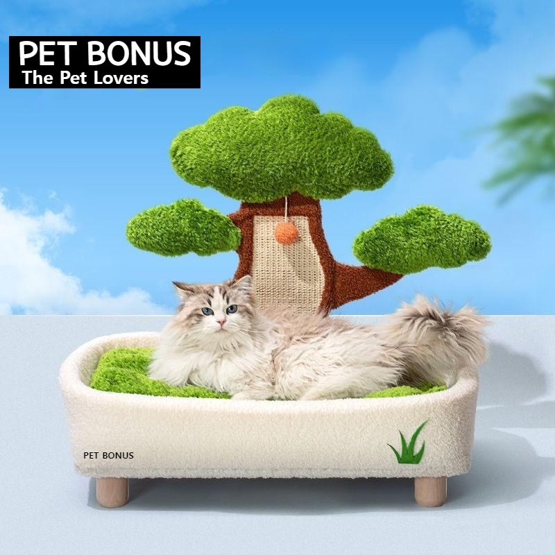 추천 인기 고양이 베드 10가지 지금 바로 선택하세요!