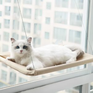 창문 해먹 고양이 10개 추천 인기 상품 지금 구매!
