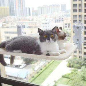 추천! 흡착형 해먹 고양이 10가지 인기 필수 상품