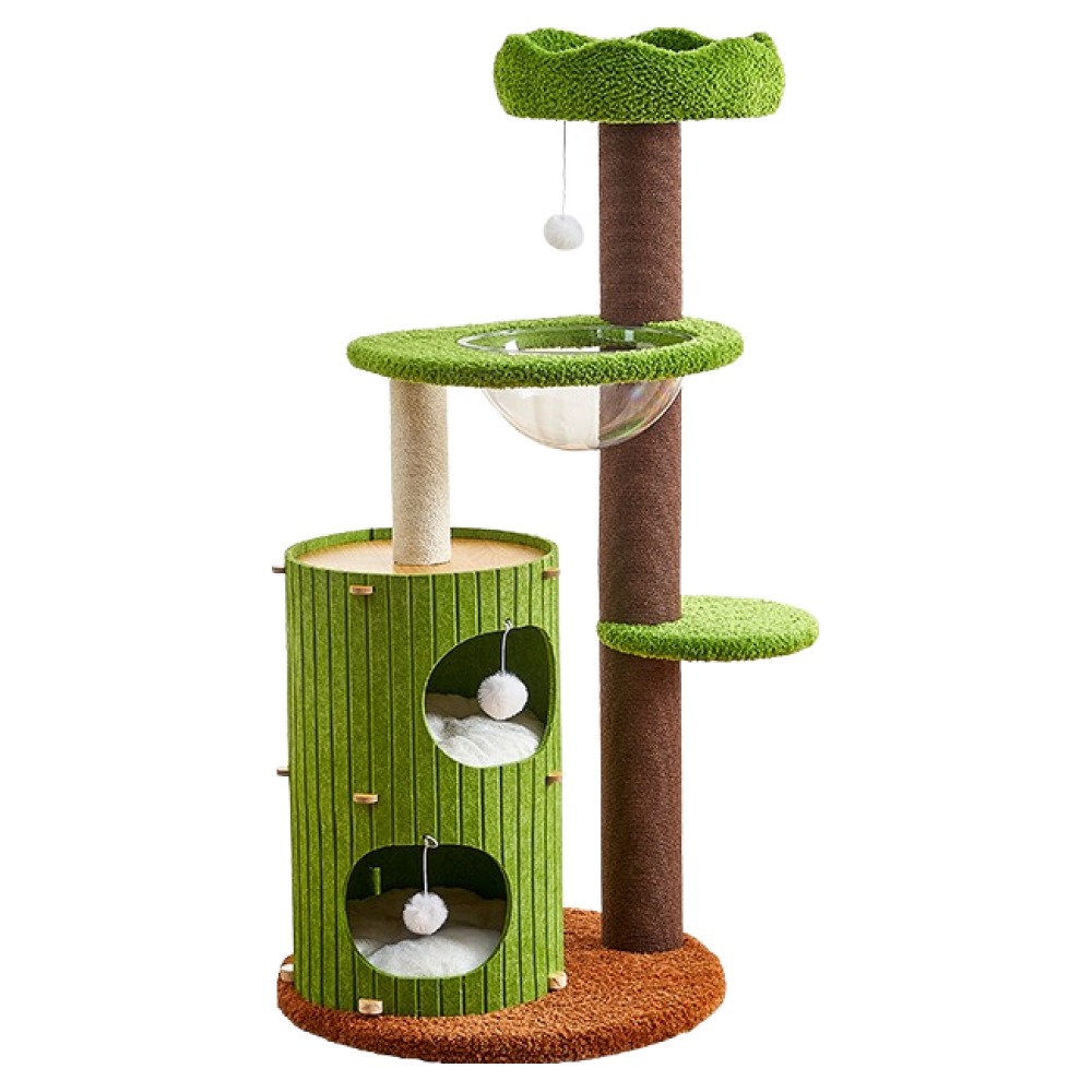 추천 인기 캣타워 하우스형 10종 필수 구매 지금 바로!