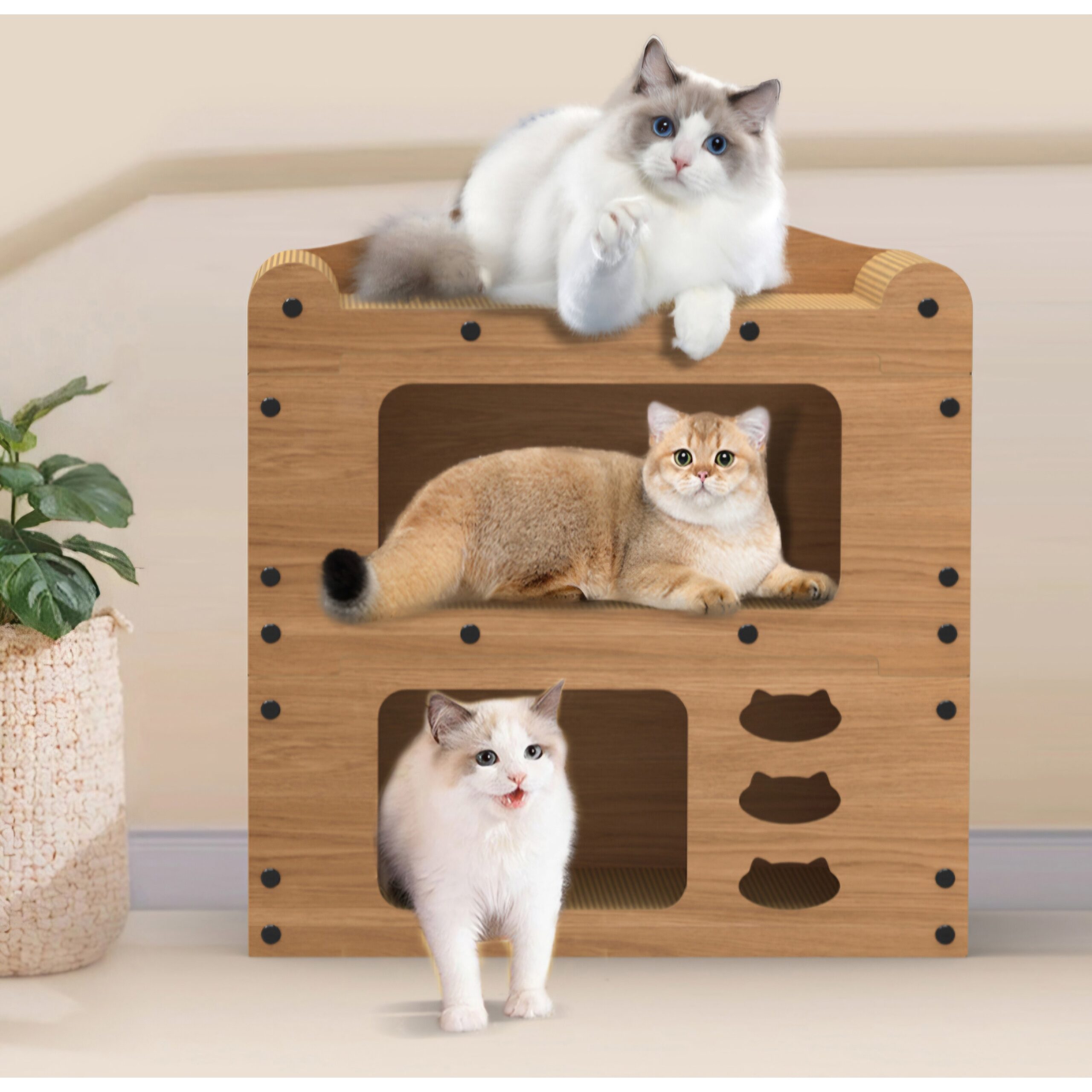 추천! 인기 하우스형 스크래쳐 10종 지금 구매하세요