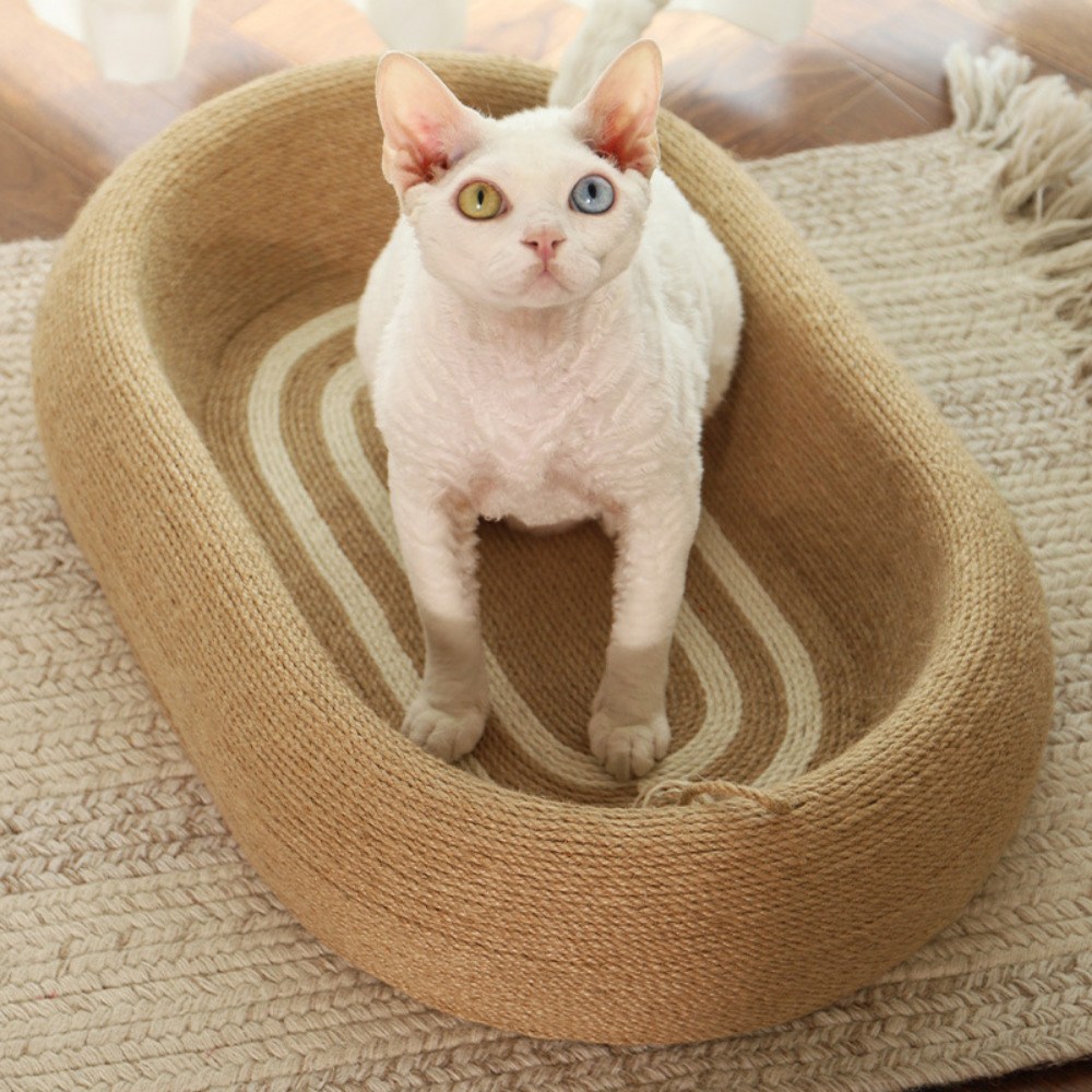 추천 원통형 스크래쳐 10종 인기 제품 지금 구매하세요!